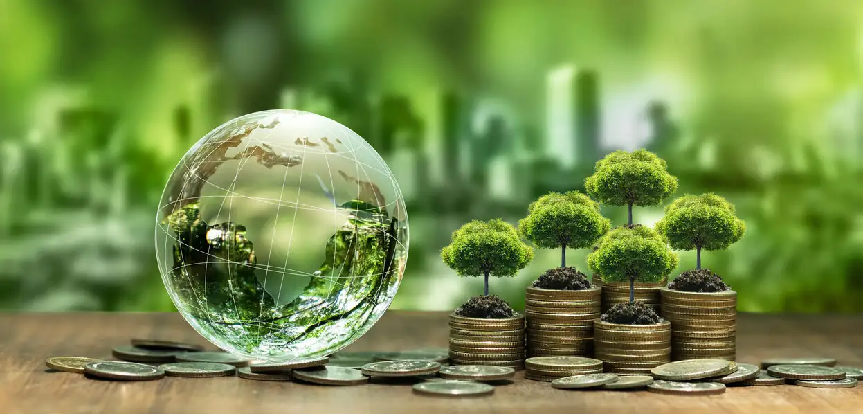 Adaptation Finance Flows to Africa